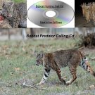 Bobcat Call Cd Hunting Calls Plays In Any Cd Player