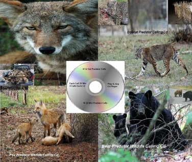 Coyote Call Predator Calls 4 Cd set Works On Primos Mojo Western Rivers Pursuit