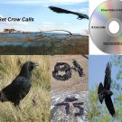 Crow Call 4 Cd Set Works 0n Mojo Primos E Caller Double Trouble And More