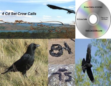 Crow Call 4 Cd Set Works 0n Mojo Primos E Caller Double Trouble And More