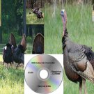 Turkey Call 2 Cd Set Hunting Calls Works On Primos Mojo E Caller Predation And More