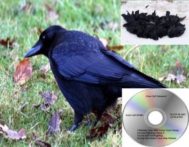 Crow Call Volume 4 Works On Primos Mojo E Caller Double Trouble And More