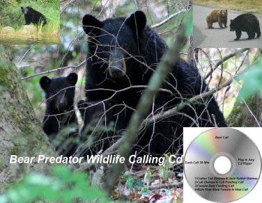 Bear Hunting Call Cd Plays In Any Cd Player