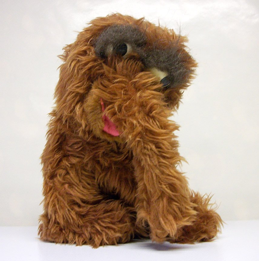 snuffy sesame street stuffed animal