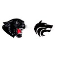 Wrangell vs Craig boys day 2 DVD