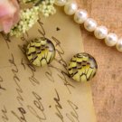 10 handmade Photo glass dome cabochons Butterfly wings 12mm s59
