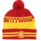 Harry Potter Pom Beanie | House Crest Collectors Edition (Gryffindor)