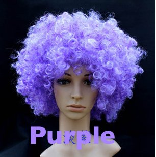 Great New Curly Colour Wig, for dress ups, Clowns and other fun ideas-Purple
