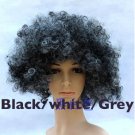 Great New Curly Colour Wig, for dress ups, Clowns and other fun ideas-Black/white & Grey