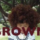 Great New Curly Colour Wig, for dress ups, Clowns and other fun ideas-Brown