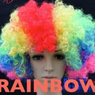 2 pieces-Great New Curly Colour Wig, for dress ups, Clowns and other fun ideas