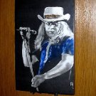 Ronnie van Zant 10 x 8" Wallplaque