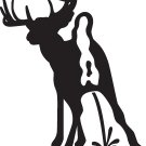 Deer Peeing On Peta Decal--6x7"