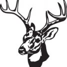 Deer Head 12"x10" Back Glass Window Decal