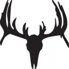Deer Skull 6x9" Window Decal