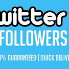 20,000 Twitter Followers