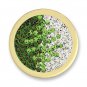 Authentic Mi Moneda Jewelry Coin Crystal Disc DD-11-Medium