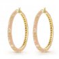 Authentic Lauren G Adams Large Hoops Flowers Earrings E-30101G 42966