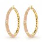 Authentic Lauren G Adams Large Hoops Flowers Earrings E-30101G 42966