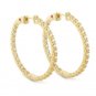 Authentic Lauren G Adams Hoop With CZ IN & OUT Earring E-0076B 36424
