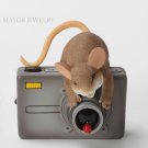 Charming Tails You're My Main Focus Figurine 4032998 Enesco New