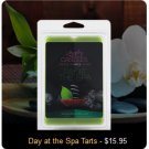 Day at the Spa Tarts