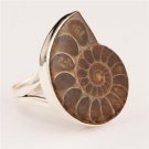 Ammonite Ring - Fossil Jewelry - Tribal Jewelry - Ethnic Jewelry - Unisex Jewelry