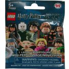 LEGO 71022 Minifig Collector Series 22 Harry Potter Fantastic Beasts Pack