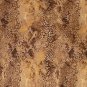 Womens Brown Tan Gray JACLYN SMITH Blouse Large