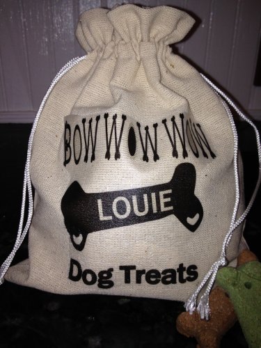 Dog Treat Bag