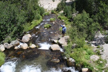 Tenkara Workshop