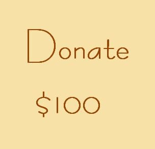 Donate in $100 Increments