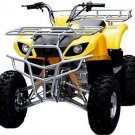 Full Size Utility Style ATV (Quad)