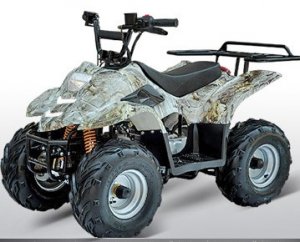 Small Size W/Remote Control & Rack Model ATV (Quad)