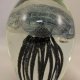 Glowing Jelly Fixh
