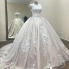 Blush Wedding Dress Sheer Neckline Lace Bridal Ball Gowns Wedding Gown H19125
