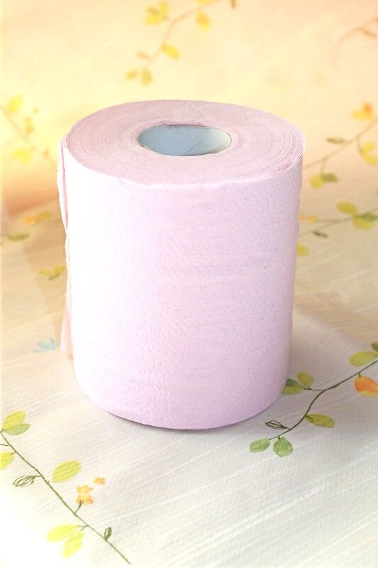 Peach Scented Toilet Paper (Pink) Bathroom Goods and Decor