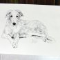 BORZOI PUPPY LYN ST CLAIR SIGNED NUMBERED 58/100 LIMITED EDITION DOG PRINT