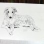 BORZOI PUPPY LYN ST CLAIR SIGNED NUMBERED 58/100 LIMITED EDITION DOG PRINT