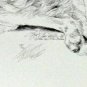 BORZOI PUPPY LYN ST CLAIR SIGNED NUMBERED 58/100 LIMITED EDITION DOG PRINT