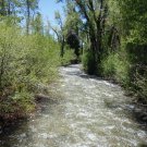 Teton Creek Resort / Driggs, ID / 2 Bedroom