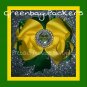 Greenbay Packers Over The Top Bow