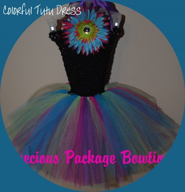 Multi Color Tutu Dress
