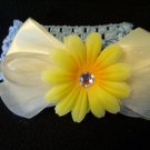 Yellow daisy