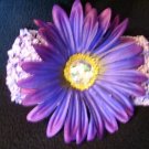 Purple Gerber Daisy