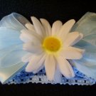White daisy