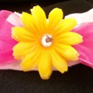 Bright Yellow Daisy