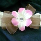 Light Pink and Brown