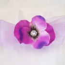Purple on Purple