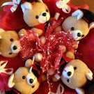 Five Red Dr. Bear Bouquet, Best Gift for Graduation